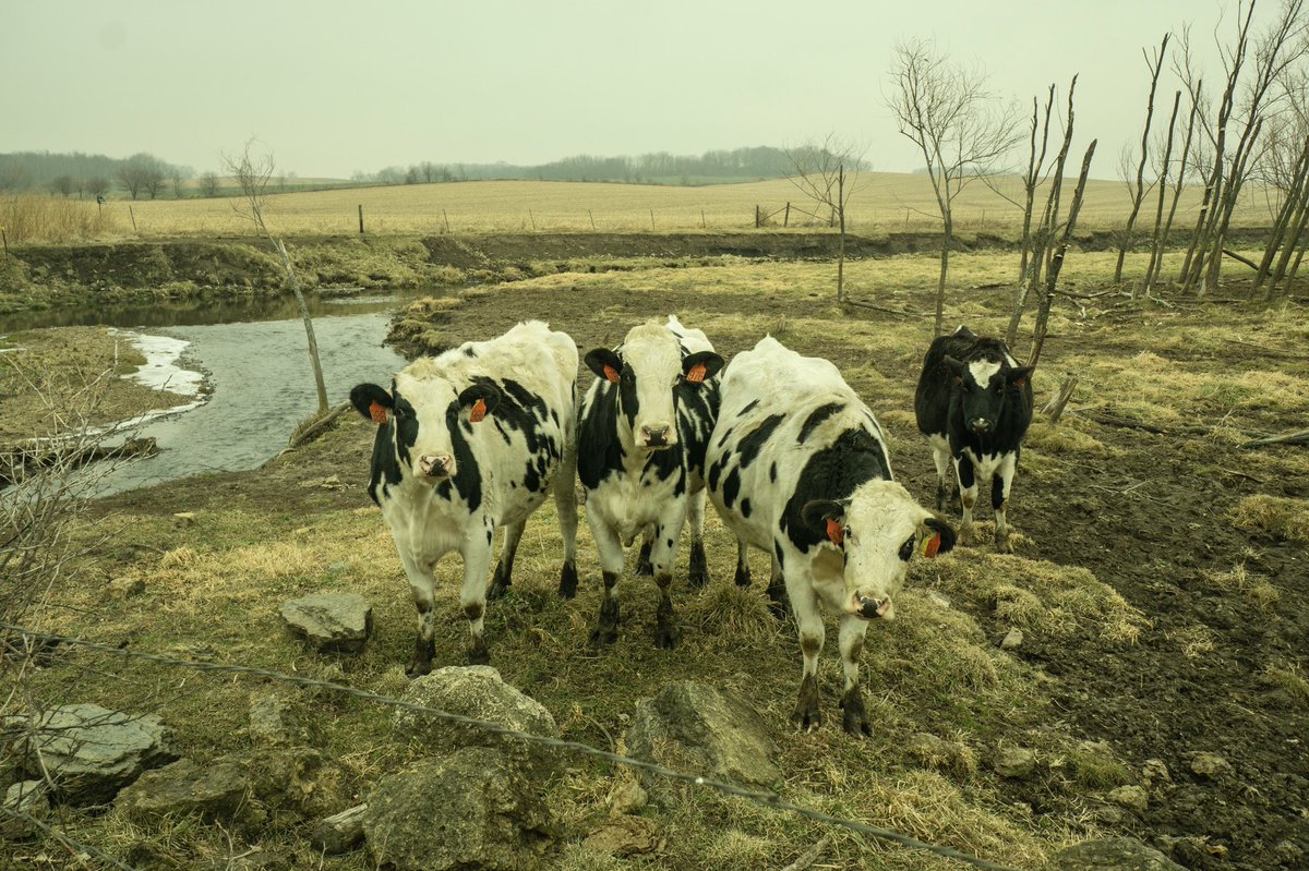 H2O_Soni's tweet photo. Pics from one of my undergrads #JamesSinger who is visiting Wisconsin. Here is a what he wrote
-felt like I was on a field trip & on a lesson straight out of class! I thought of you when I was talking w/ farmer...#waterquality #PradhanangLab @universityofri @URI_GEO @uricels https://t.co/t8ko7ozQAP