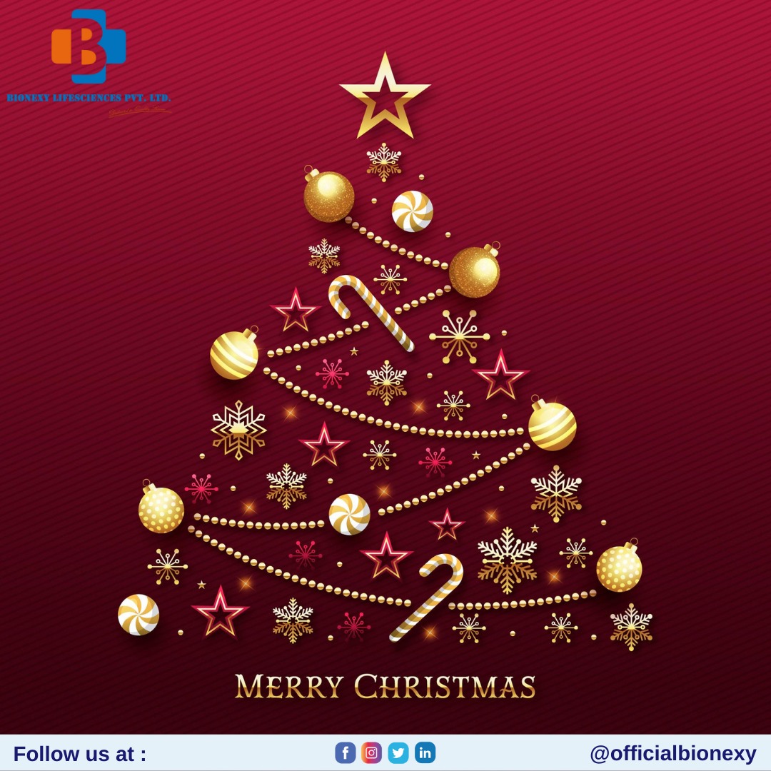 officialbionexy's tweet photo. @officialbionexy wishes you Merry Christmas.
..
#bionexy #officialbionexy #merrychristmas #merrychristmas🎄 #christmas #celebration #festival https://t.co/7b2MiF6Mn0