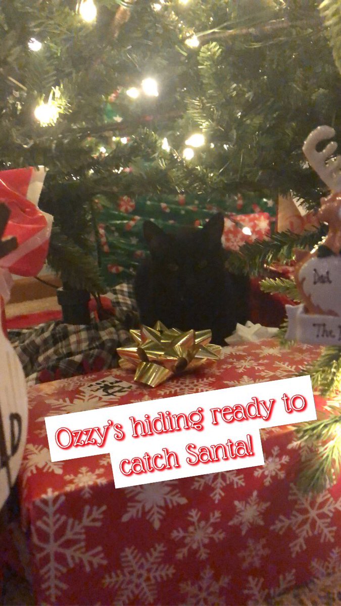 Bob Flake tweet media