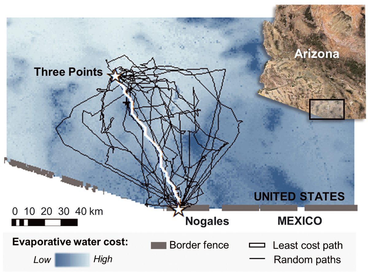 New Science research models physiological stress associated with undocumented migration across the southern border of the United States, finding that locations of high migrant mortality coincided with regions of the greatest predicted physiological stress. fcld.ly/vboh22w