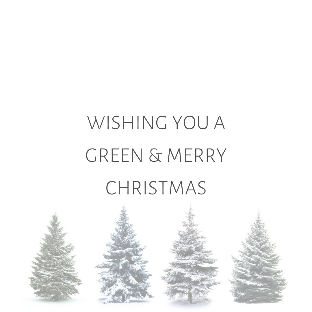 TreeClicks's tweet image. Enjoy your holidays 🎄✨ treeclicks.com

#christmas #holidays #christmasinspiration #zerowaste #sustainablejourney