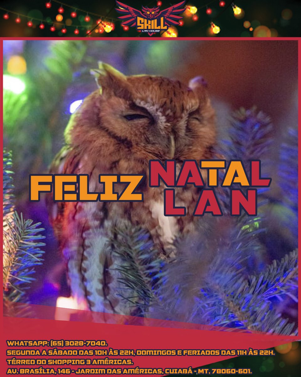 SKILL - Lan House tweet media