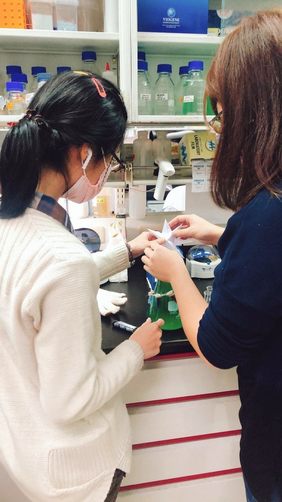 TsyLab's tweet image. Merry Christmas ☃️🎄❄️
This year we only can have a small party for Christmas but still fun and warm. Look! How adorable our hands-on Christmas trees are😍