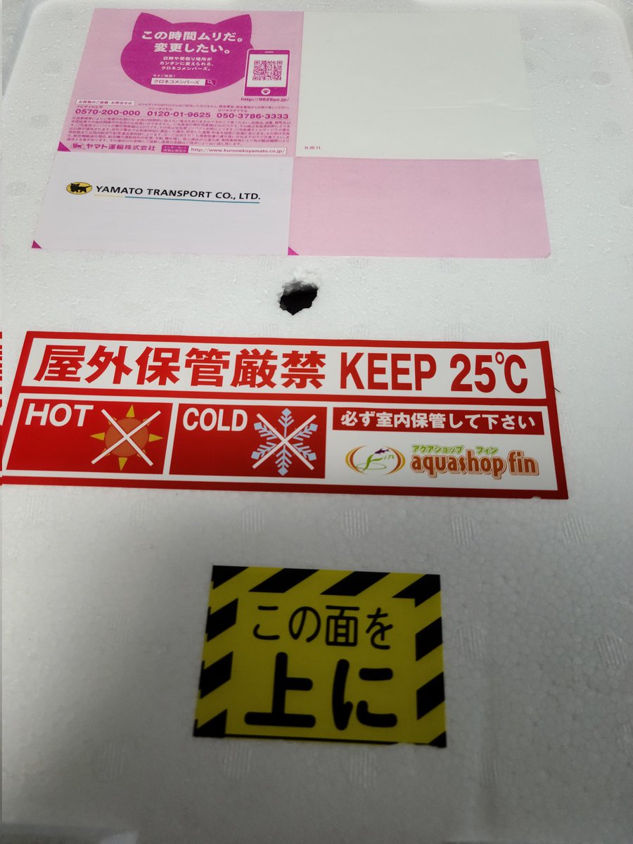 PAPAS6202's tweet photo. 着！ https://t.co/haMDiziQin