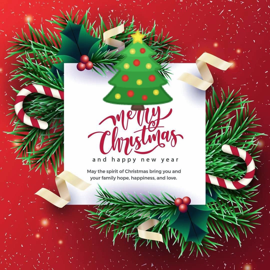 keshabl's tweet image. Wishing everyone a wonderful Christmas 🎄 Best wishes for a safe and enjoyable end to 2021!
#happychristmas 🎄