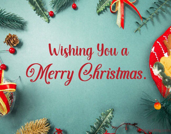 TMirissa's tweet photo. Wishing you a Merry Christmas!! 🎊🎄🎅☃️
        
#toursmirissa #srilanka #mirissa #seasonsgreetings #Christmas #MerryChristmas #FestiveSeason #christmas2021 #december #santa #xmaseve #christmastree #holidays #holidayseason #newyear #festive #travel #celebration #christmaseve https://t.co/orqj7JntBY