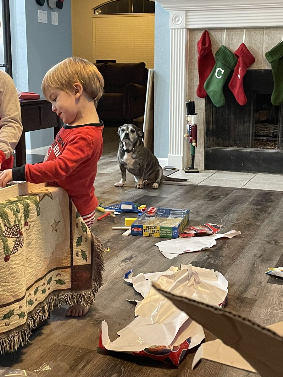 sheiler94's tweet image. Three months ago Lola and I descended on my brother… Lola made it clear she hated children and the kids were annoying. She still thinks they are annoying but now she basically thinks she’s their grumpy nanny.