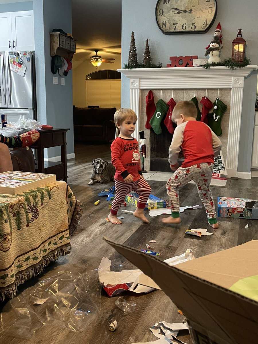 sheiler94's tweet image. Three months ago Lola and I descended on my brother… Lola made it clear she hated children and the kids were annoying. She still thinks they are annoying but now she basically thinks she’s their grumpy nanny.