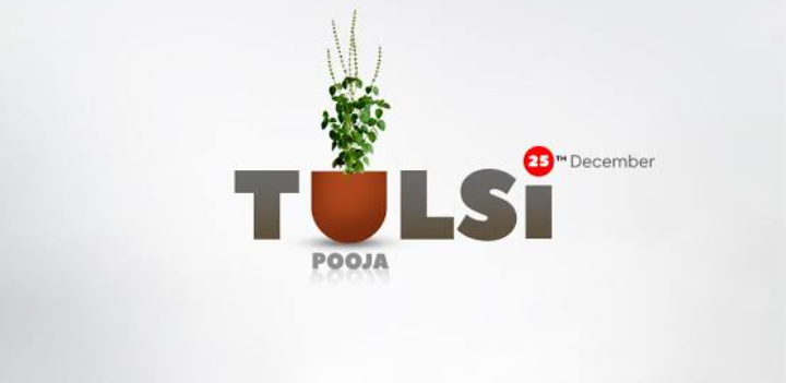 ruchishah00's tweet photo. The Tulsi is the most sacred plant that we worship because of its connection to Lord Vishnu. 

Also known as the Tulasi,the plant is believed to be the earthly form of the goddess.

🌴Savetree ❤️Savelife🌎

#तुलसी_पूजन_दिवस
#तुलसी_पूजन_दिवस_की_बधाई https://t.co/TYSAifOgKb