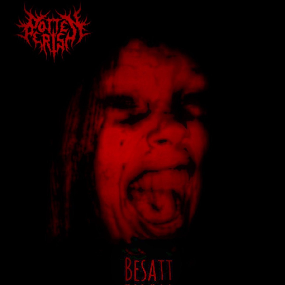 Rotten_Perish's tweet photo. https://t.co/78jczpiFN9 
The Official Discography 
https://t.co/uARQn0gbmT

#RottenPerish #Deathmetal #blackmetal #underground #unsigned #rock #punk #Sweden #Swedish https://t.co/8oviHEgMyR