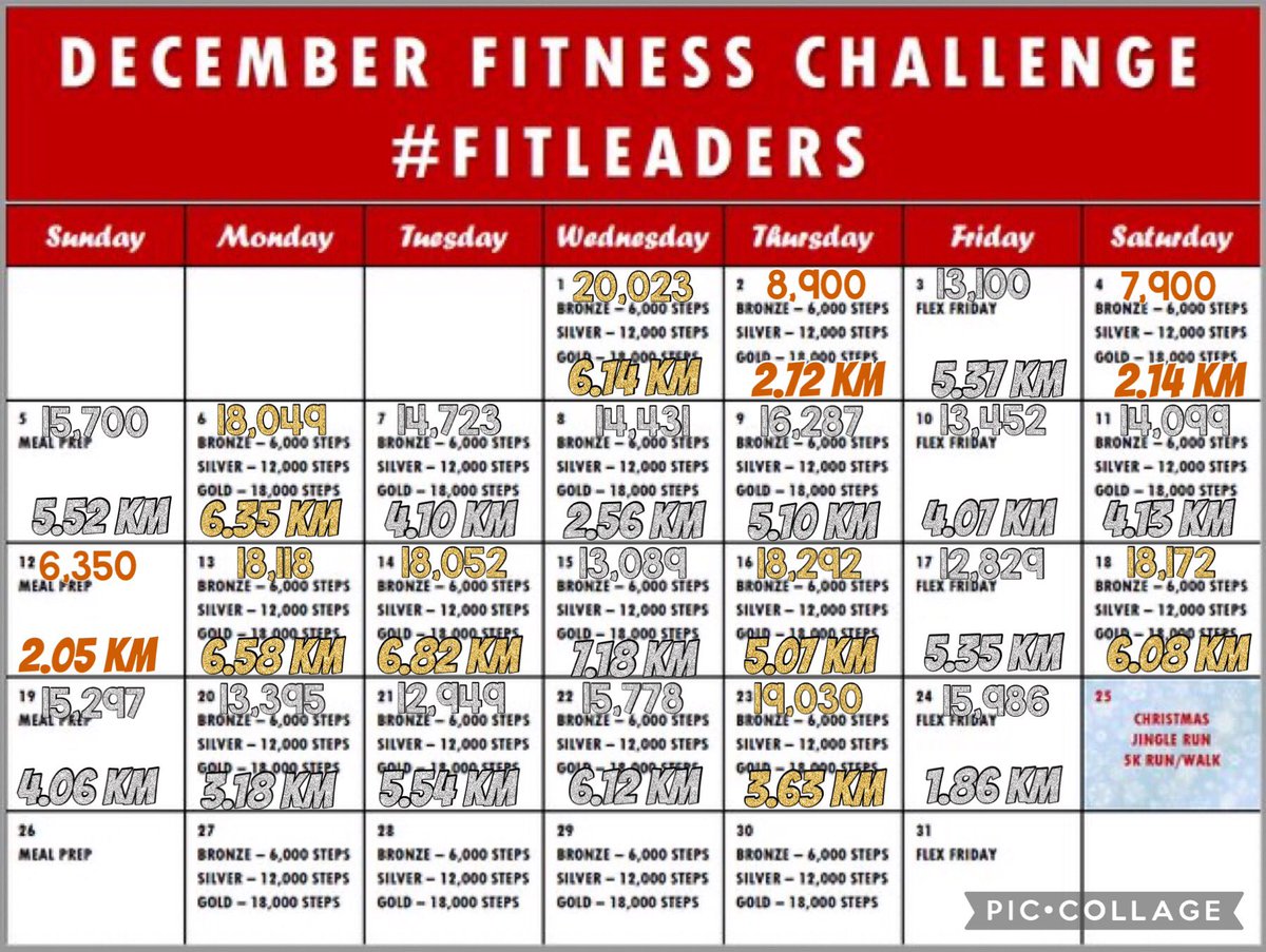 BetsyCallanan's tweet photo. Day 585 #Educators0NtheRun Day 24 #FitLeaders #DecStepChallenge Squeaked in 1.86km at the end of a busy day to keep the streak alive. Paul came along and made some new friends 😉 Merry Christmas Eve all! Keep steppin’ @zjgalvan @PrincipalRoRod @ValChavez2018 @DiocelinaBelle https://t.co/EvEwyGsvYA
