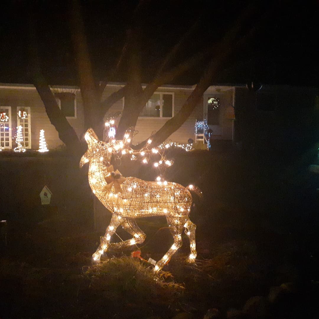 Isabel Dias tweet media