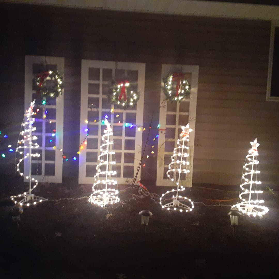 Isabel Dias tweet media