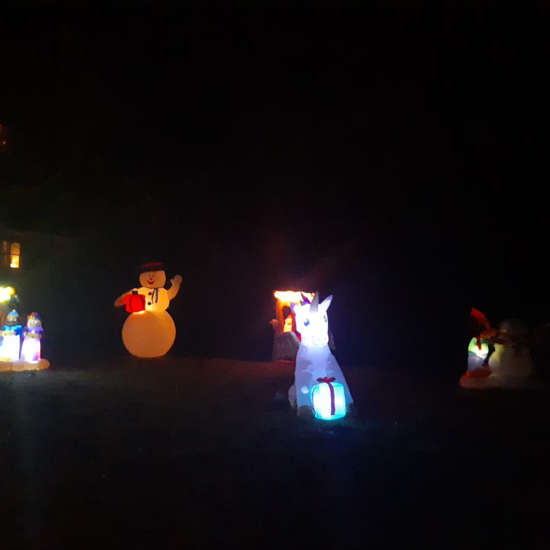 Isabel Dias tweet media