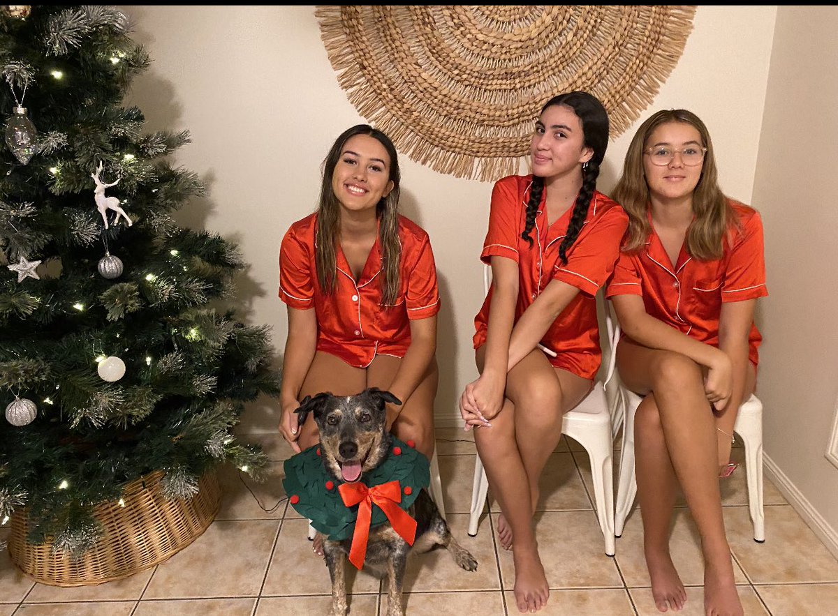paulmac_78's tweet photo. Merry Christmas NRL Twitter from my family/phanau to yours https://t.co/4AtTh4QCwx