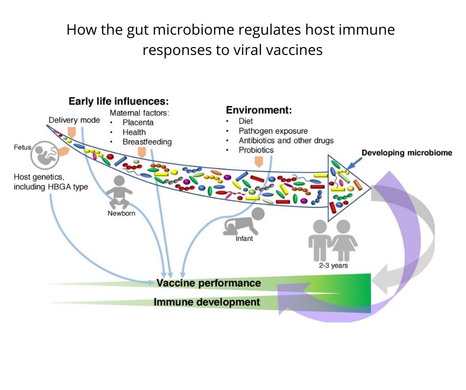 picphysicians's tweet photo. Did you know that a poor microbiome contributes to viral vaccine failures and inflammatory disorders? 

https://t.co/fsk2a5xCOL

Sign up to our newsletter: https://t.co/kFSB8GJRh8

#Physicians4InformedConsent #1stDoNoHarm #Vaccines #Vaccination #InformedConsent #Science https://t.co/A4DjvzrDgC