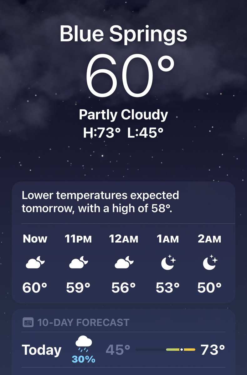 Lisa J. Shackelford tweet media