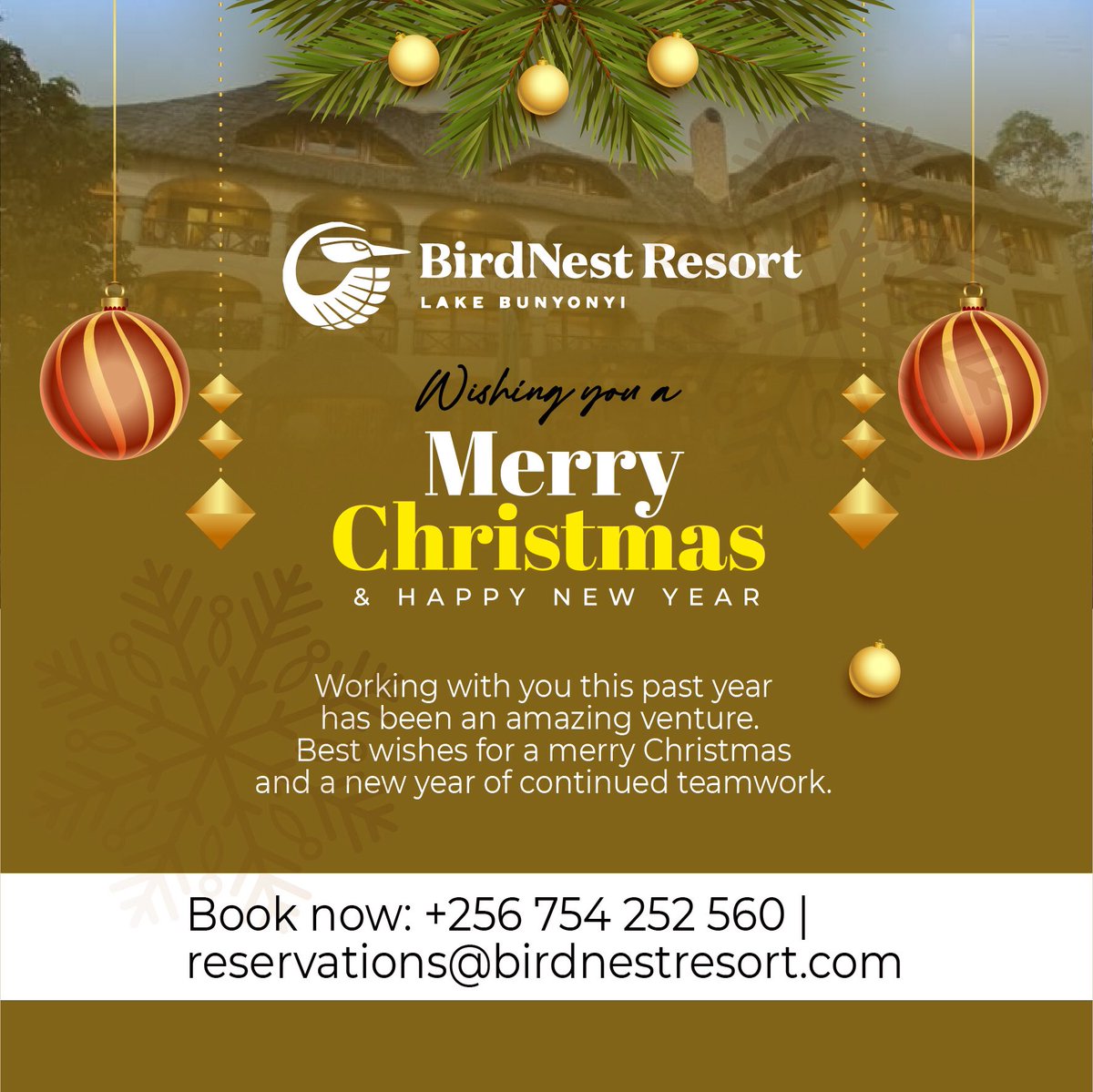 birdnestresort's tweet photo. Merry Christmas 🎄and Happy New year!
May these holidays bring you the best memories and unforgettable discoveries. https://t.co/ZF4GWaGF1a