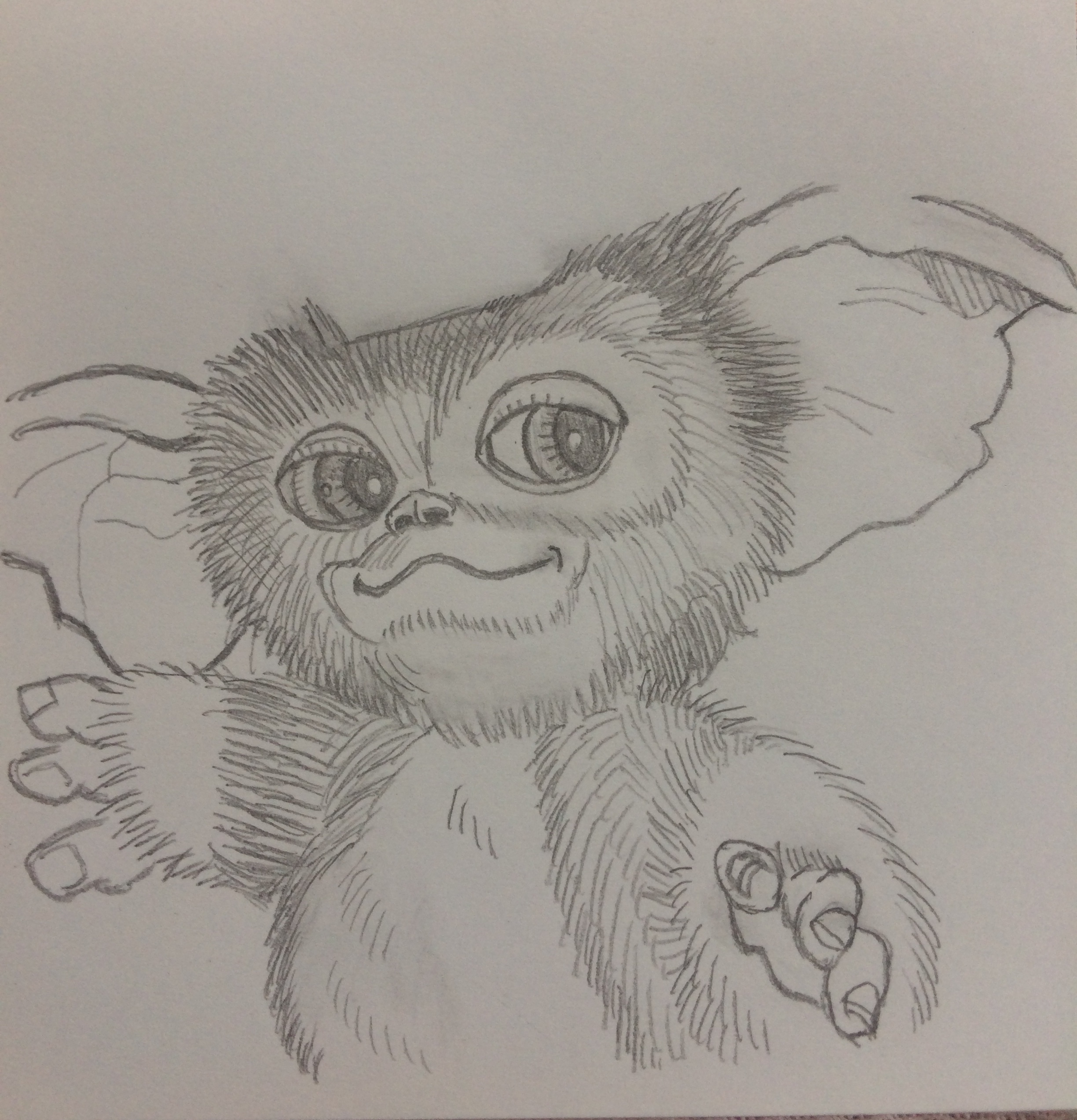 ギズモ Mog Giz Twitter