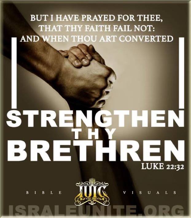 iuic_phoenix's tweet photo. #Luke 22:32 But I have prayed for thee, that thy faith fail not: and when thou art converted, strengthen thy brethren. #DailyBread #BibleVisuals #Bible #Scriptures #IUIC #Israelites https://t.co/2Da5fyVjzE