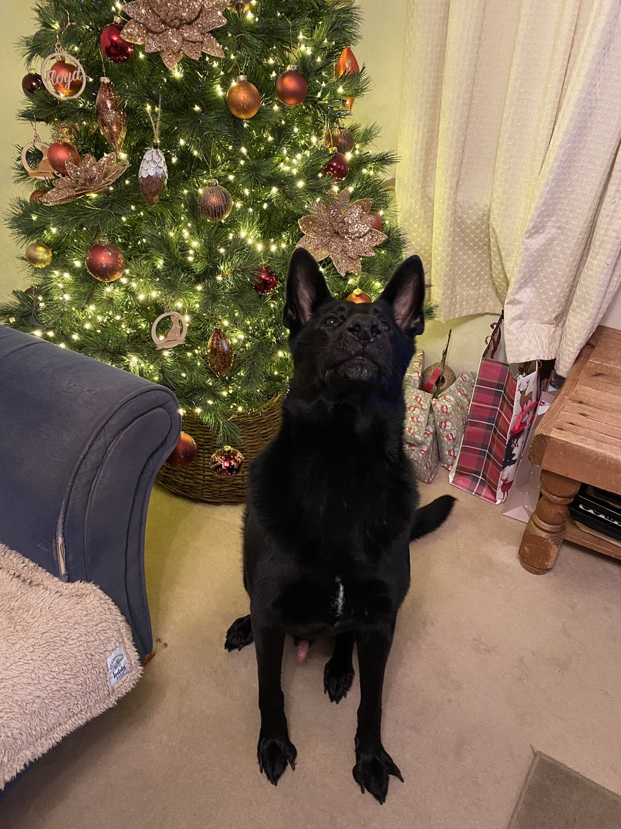 Merry Christmas to you all ❤️