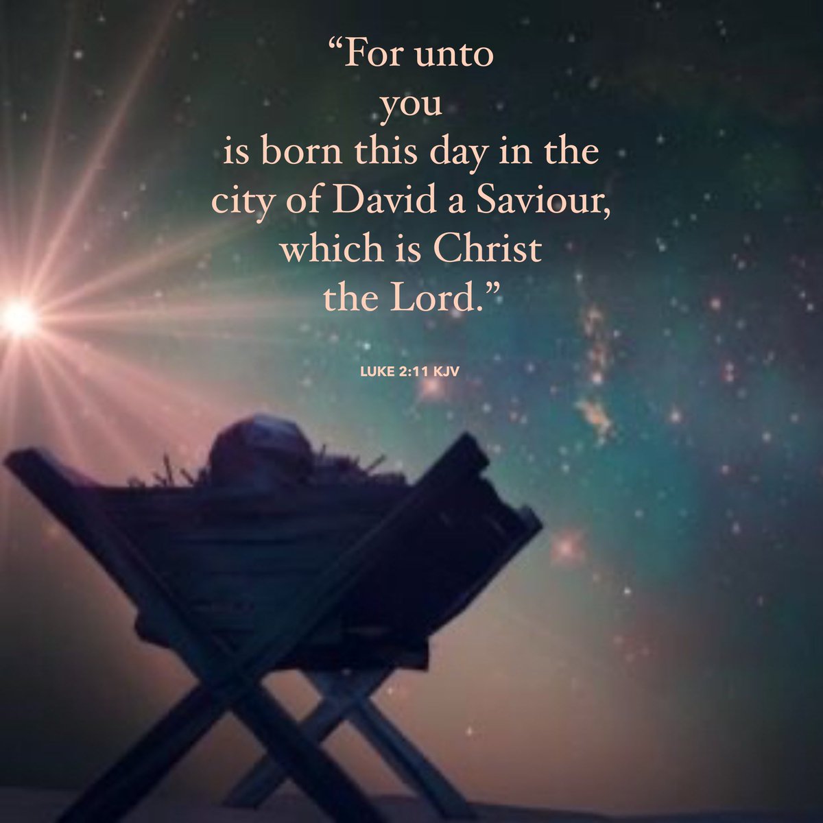 geridynomite's tweet photo. Happy Blessed Christmas to all
#BlessedSavior #JesusChrist https://t.co/xvquZgwvj2