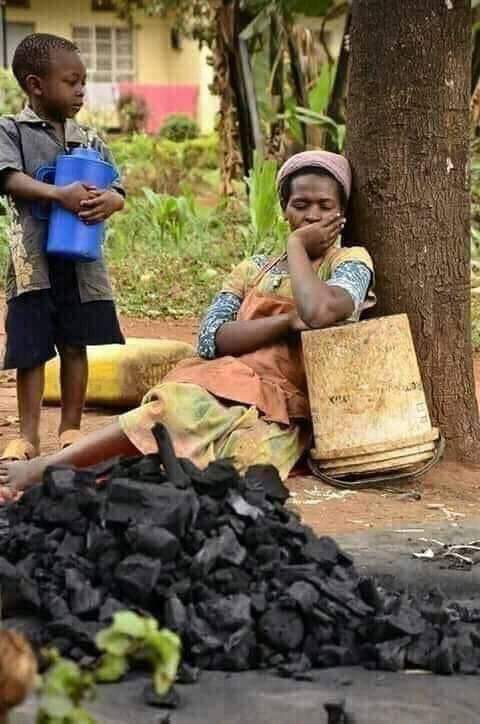 Alitossa's tweet photo. Parfois, votre surplus est tout ce dont quelqu'un a besoin pour croire encore à la vie. En ce jour, fais un geste envers un enfant.

Un seul. Peu en importe la taille. Sois sûr que son impact sera grand parce que tu le feras avec amour.

Joyeux Noël ! #ToutEstGrace https://t.co/EXf7BHAmvg