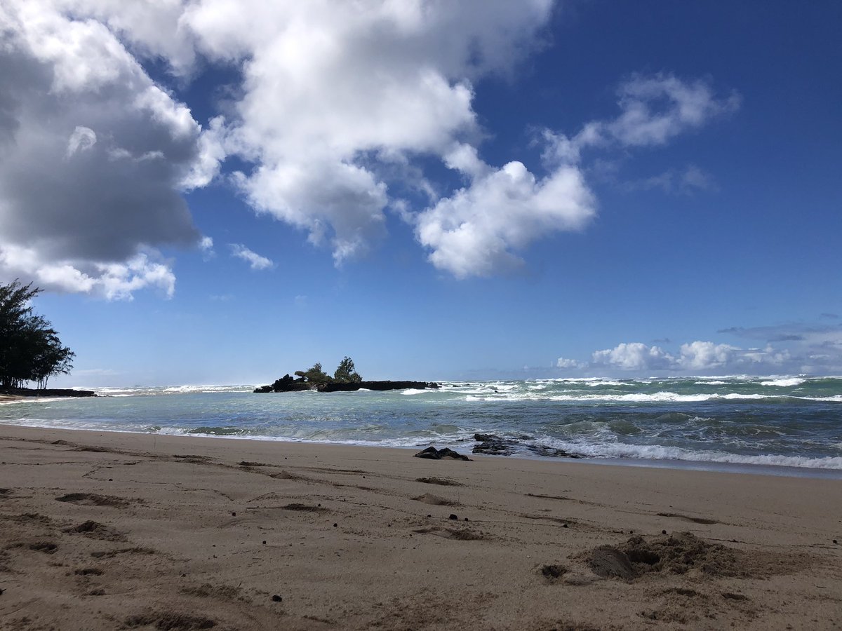 beebeejeebees's tweet photo. Just some mundane pictures of Hawaii. I miss it so much https://t.co/bnoF94Dq5n