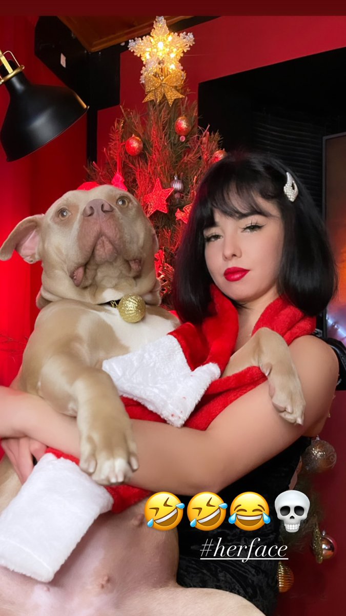 _HOTMOD's tweet photo. My babyโs face ๐
๐
#mj #babygirl #fawn #Pitbull #redfawn https://t.co/w5JuYtVlYL