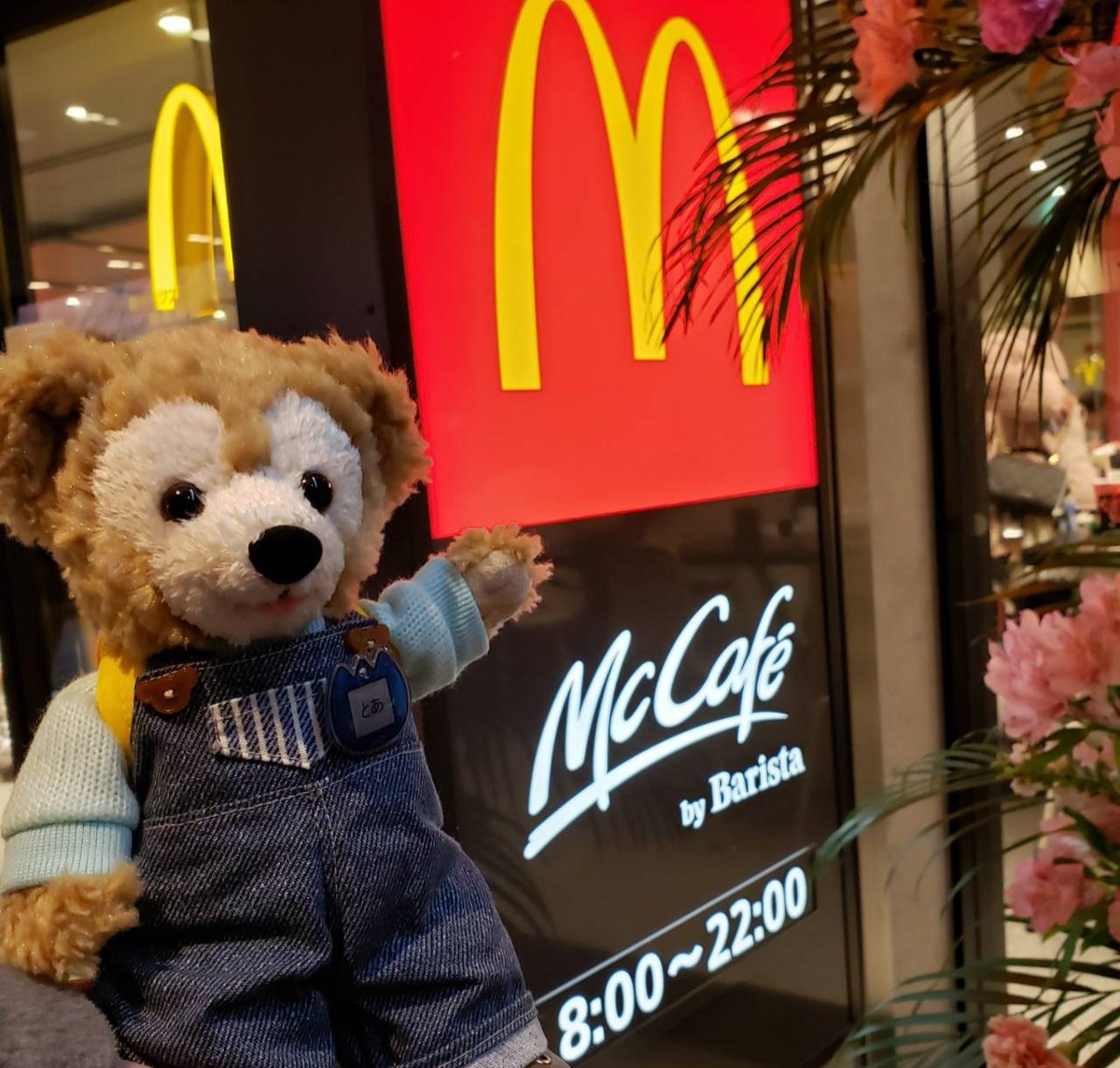 めぐりん tweet media