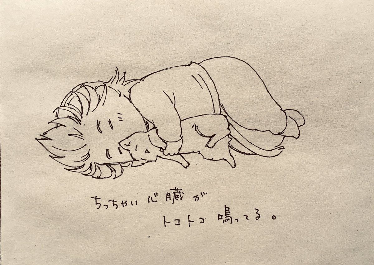 シヤワッセ 