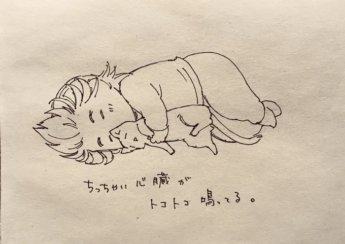 シヤワッセ 