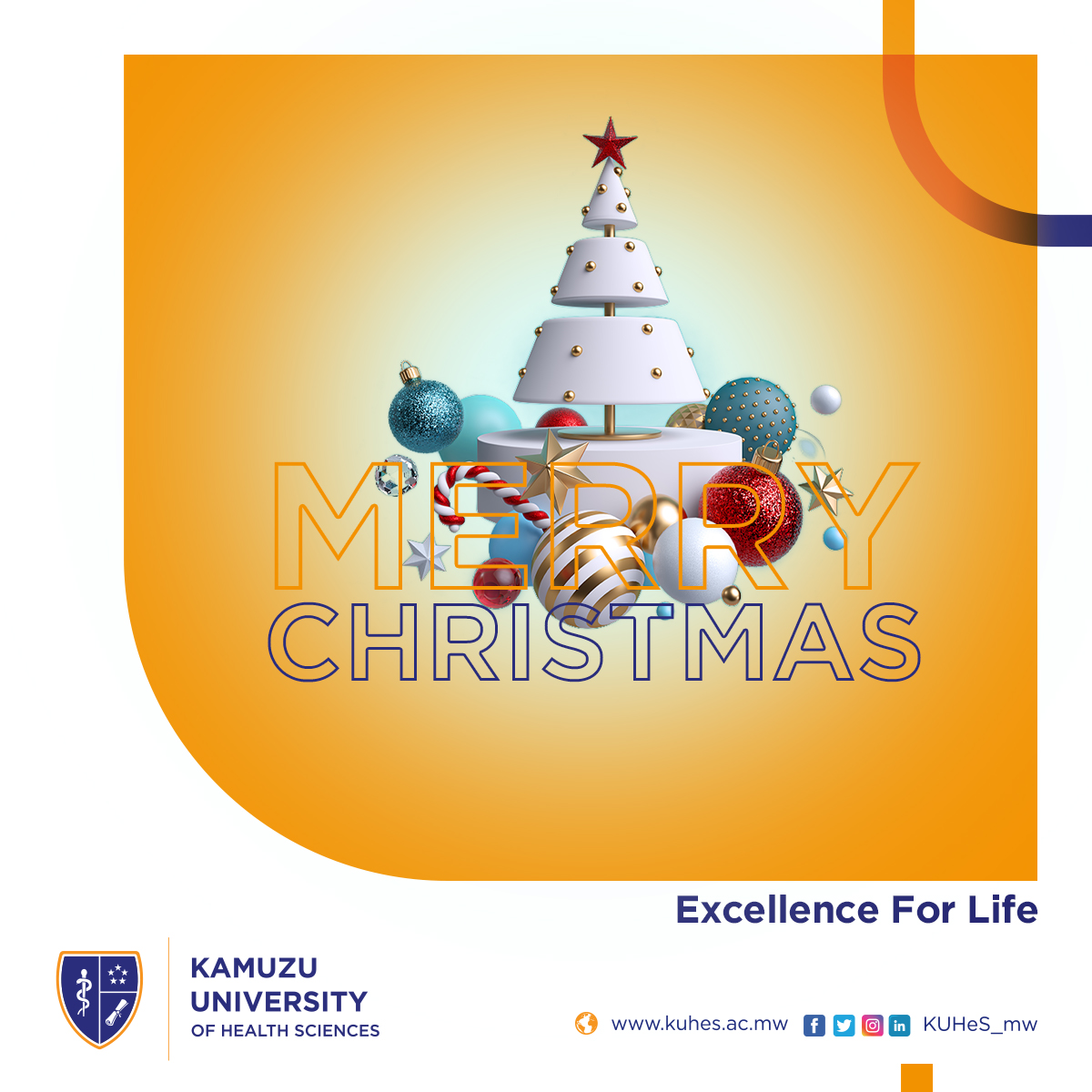 Merry Christmas!!!!!

#excellenceforlife
