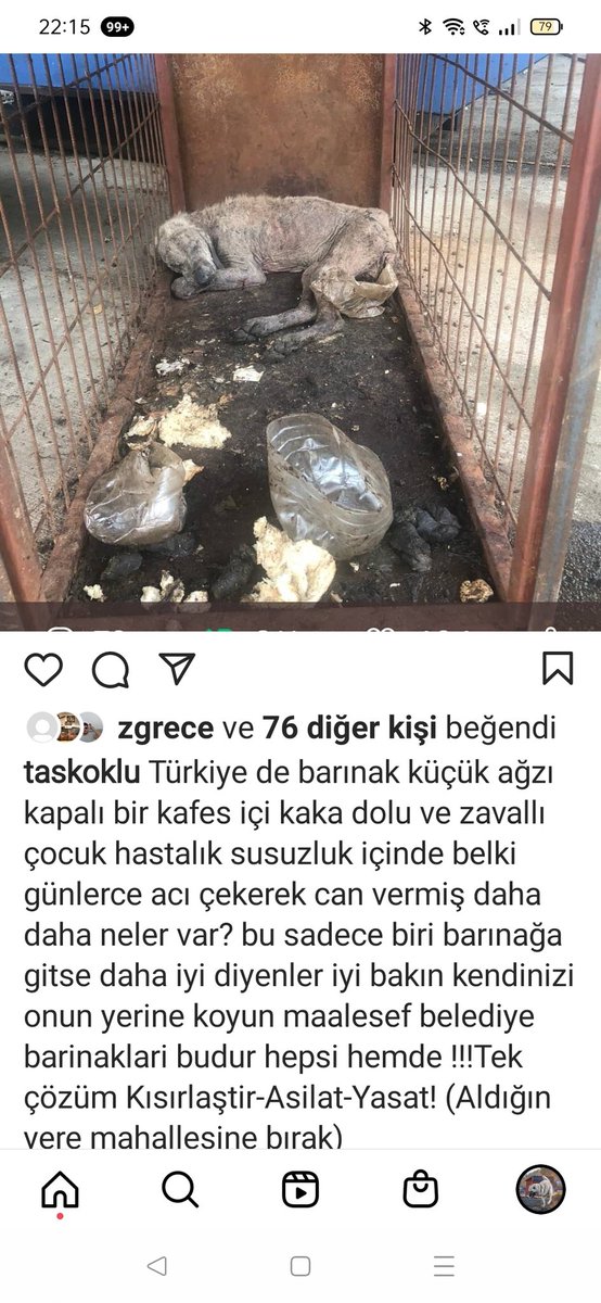 mdnhakann's tweet photo. Kötü olan her şeyin arkasında insan vardır. Yanlışı başka bir yanlış ile çözmek isteyen yine insandır.İnsan sadece kendi konforunu düşünür. İnsan bütün canlılar ve gezegen hakkında karar vermeyi kendinde hak görür.İnsan, insan olmak dışında herşeydir
#SokakHayvanlarıSahipsizDeğil https://t.co/nO00cdGwUM