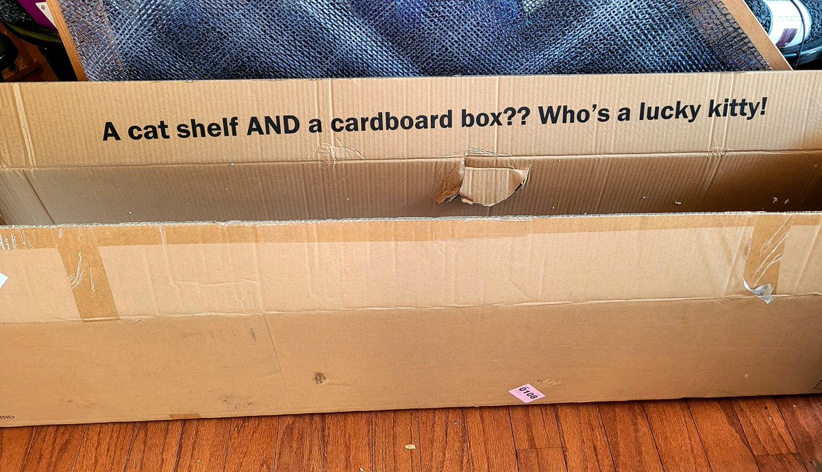 Merry Christmas to me... meow