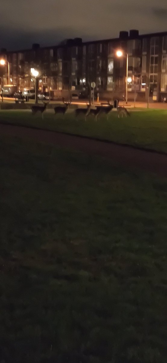 Het lijkt bijna dat de #kerstman een tussenlanding heeft genomen in IJmuiden.