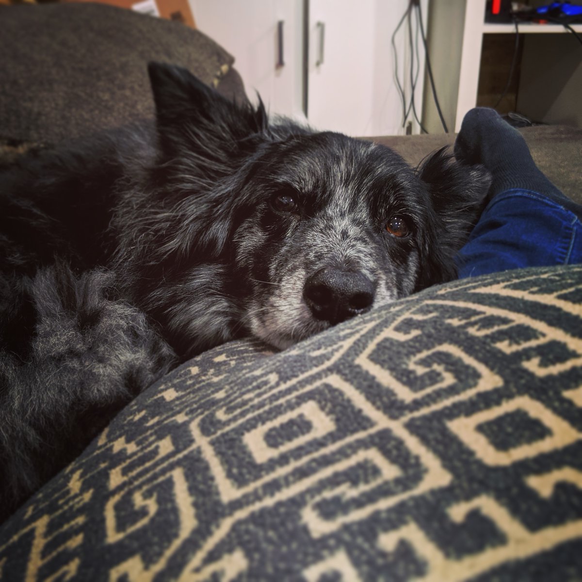 RegPeepsGaming's tweet photo. Wishing you all safety, happiness, warmth, and love. https://t.co/IksHHZGCTb