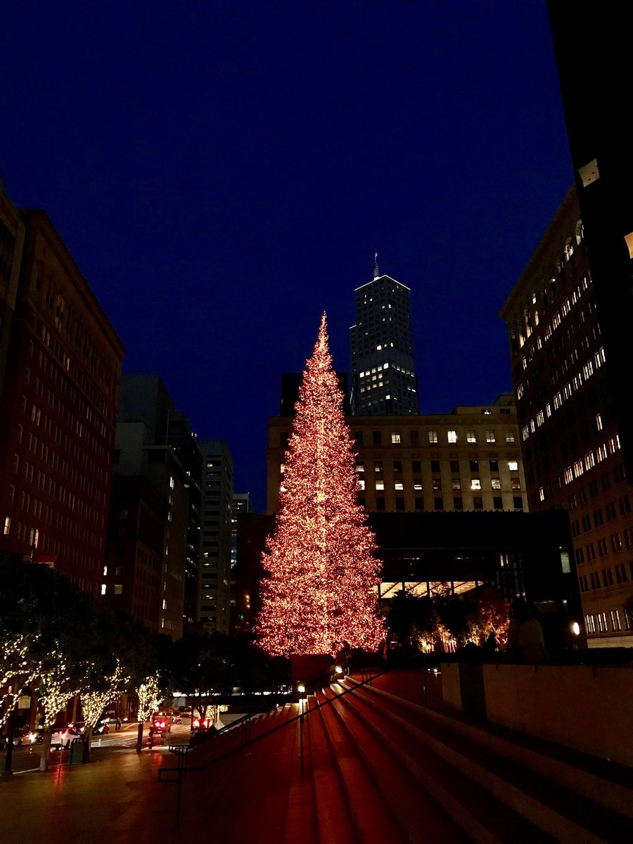 moaz ゼ hamid tweet media