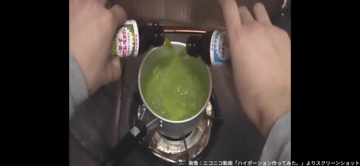 12月29日は何の日？あの「ハイポーション作ってみた。」が投稿された日www