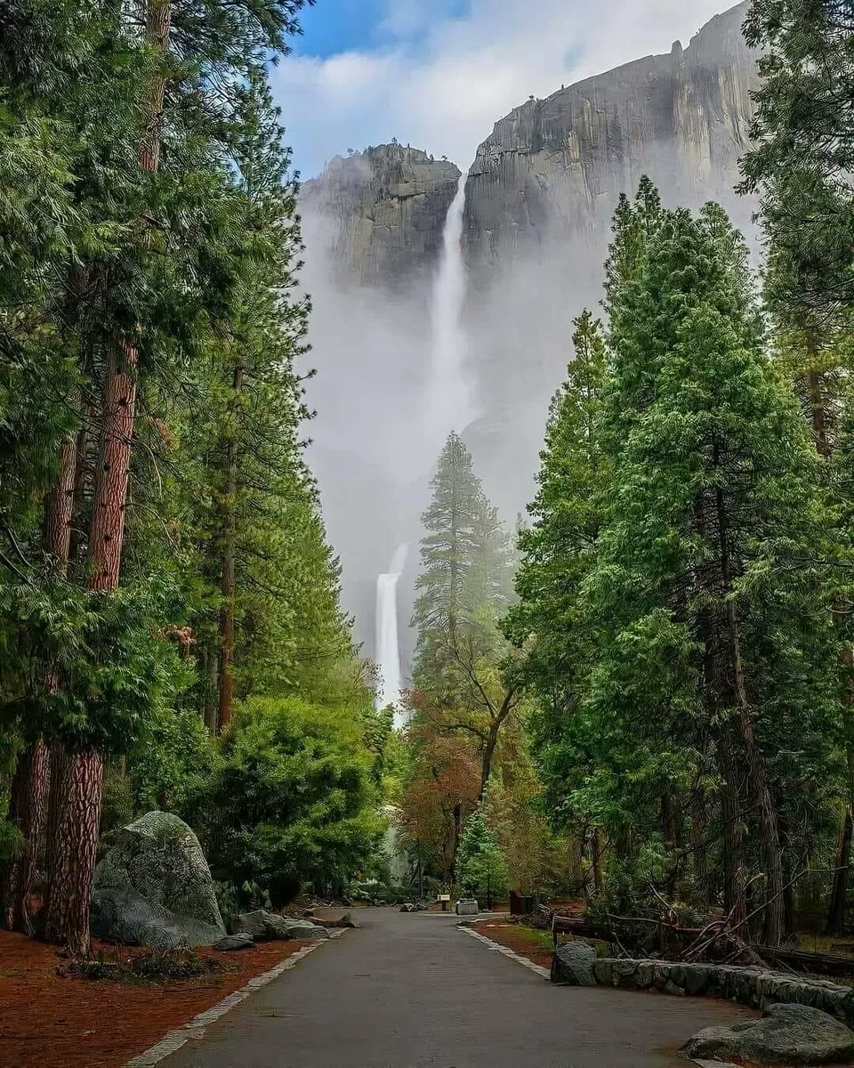 geography_point's tweet photo. Yosemite National Park https://t.co/Rc1RzI2ITd