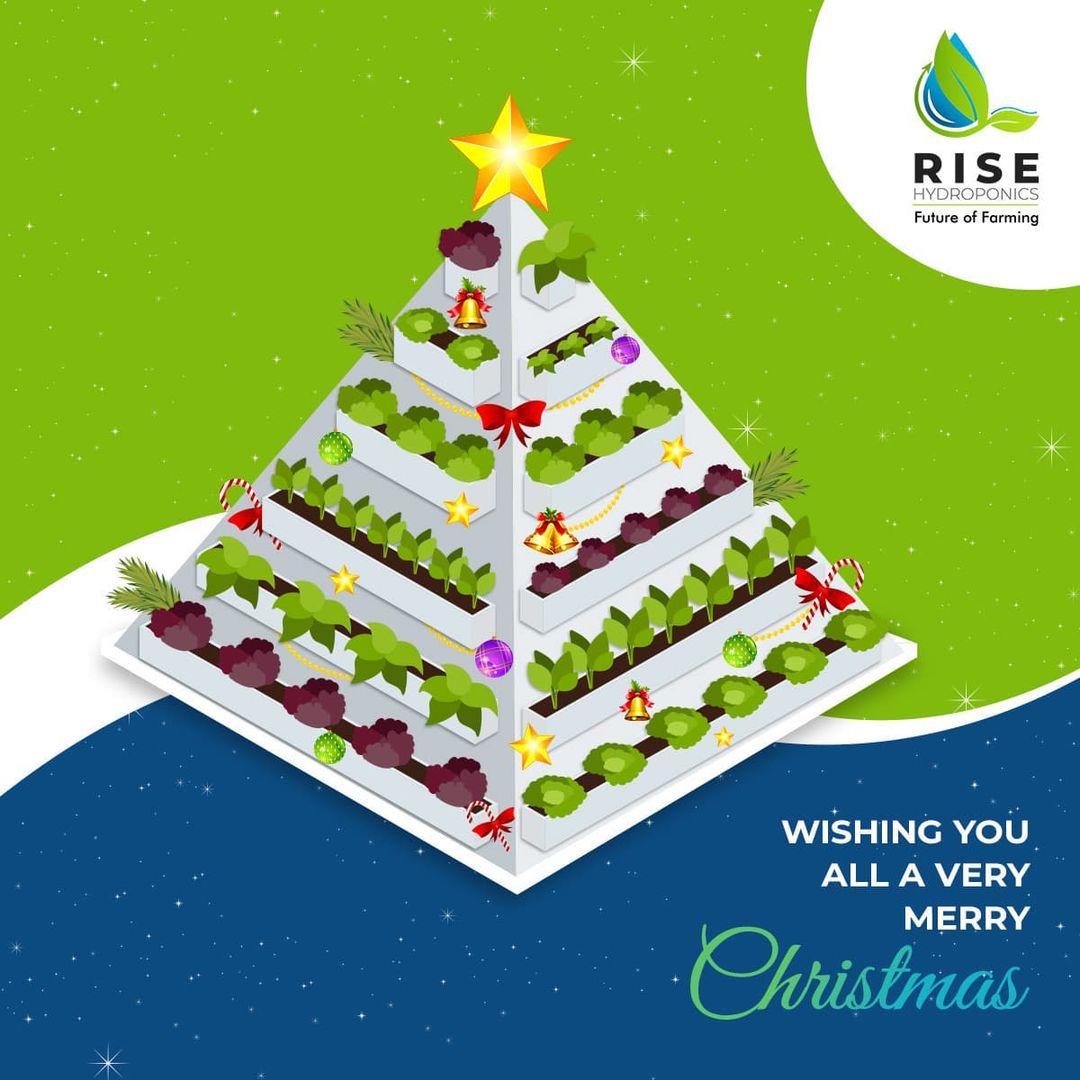 RiseHydroponics's tweet photo. May your Holiday Season be filled with the gifts of Peace, Happiness &amp; Love for Nature! 💫

Rise Hydroponics wishes you all a Very Merry Christmas!

#risehydroponics #christmas #christmastree #merrychristmas #xmas #xmastree #xmas2021 #festiveseason #holidayseason https://t.co/9BzNnowUfU