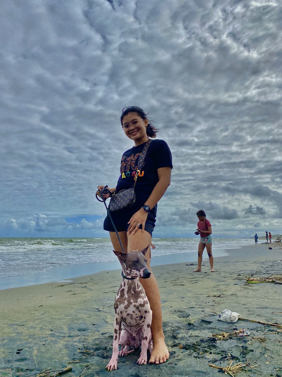 berynice__'s tweet photo. My baby 
#peruviandog https://t.co/TqV1qmsjeo