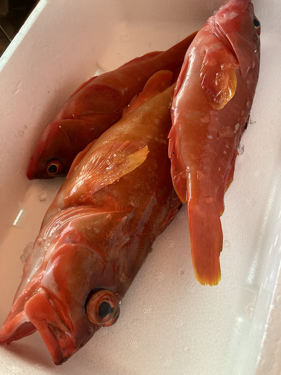 みんなの ぶらり 味噌汁 口コミ 評判 食べたいランチ 夜ごはんがきっと見つかる ナウティスイーツ