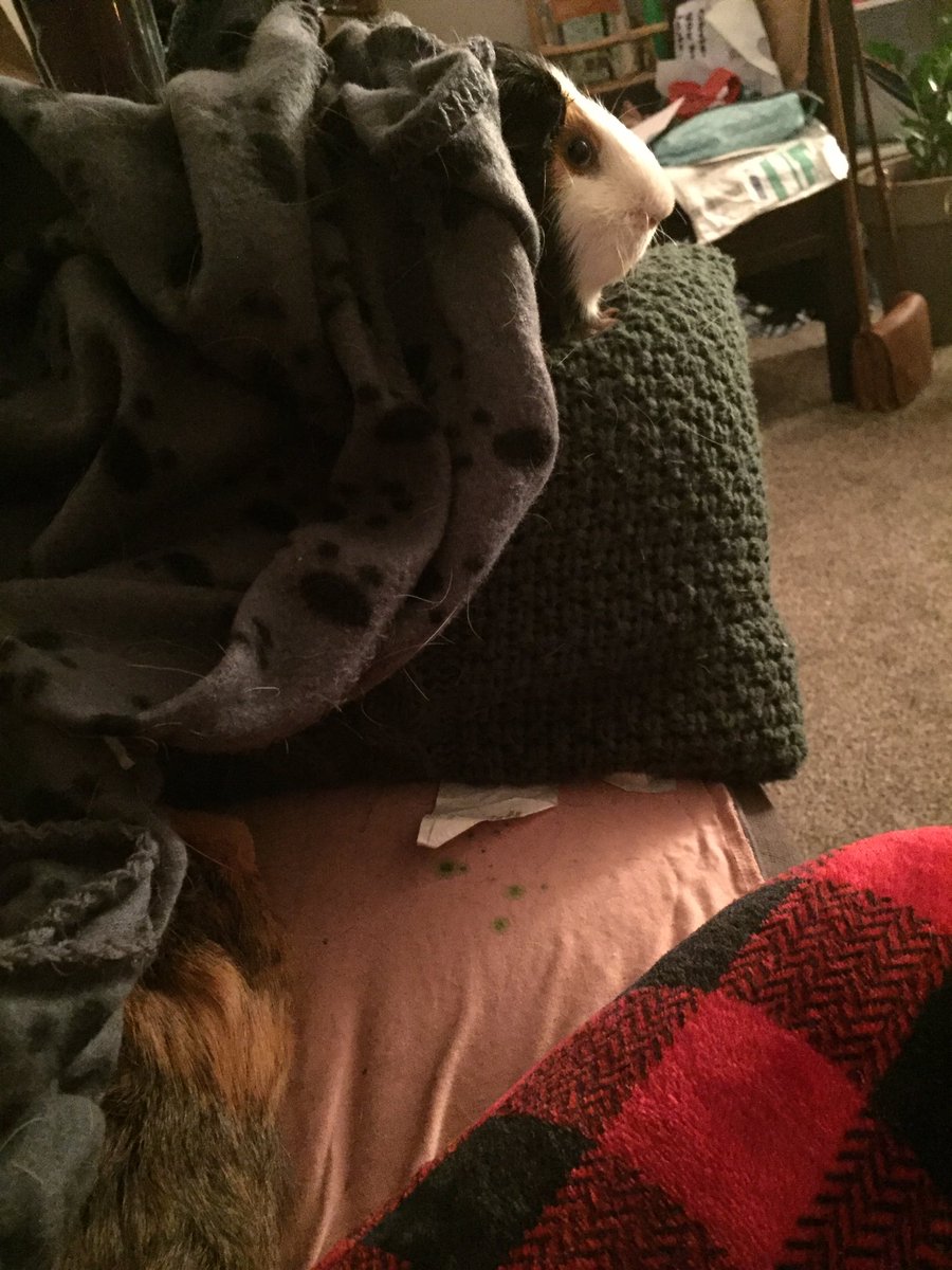 BdfJjl's tweet photo. Time runs out: a final meal with Prosecco, the cookies completed and - of course - #pigsinblanket ...Tomorrow it begins.

There will be sugar. There will be bad photographs.

And there will be parsley. Or there’ll be hell to pay.

#GeraltofAlberta #FirstXmas #Wham4evvah https://t.co/ngBjsWUAAw