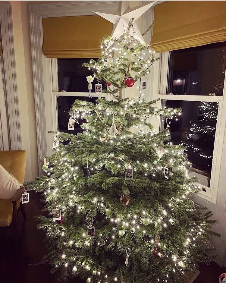 shibashiclub's tweet photo. Christmas tree ✅ 
Christmas eclairs ✅ 
Christmas beer ✅ 

Wishing you all a very Merry Christmas from Belfast!! X https://t.co/ggKzxou2Fk