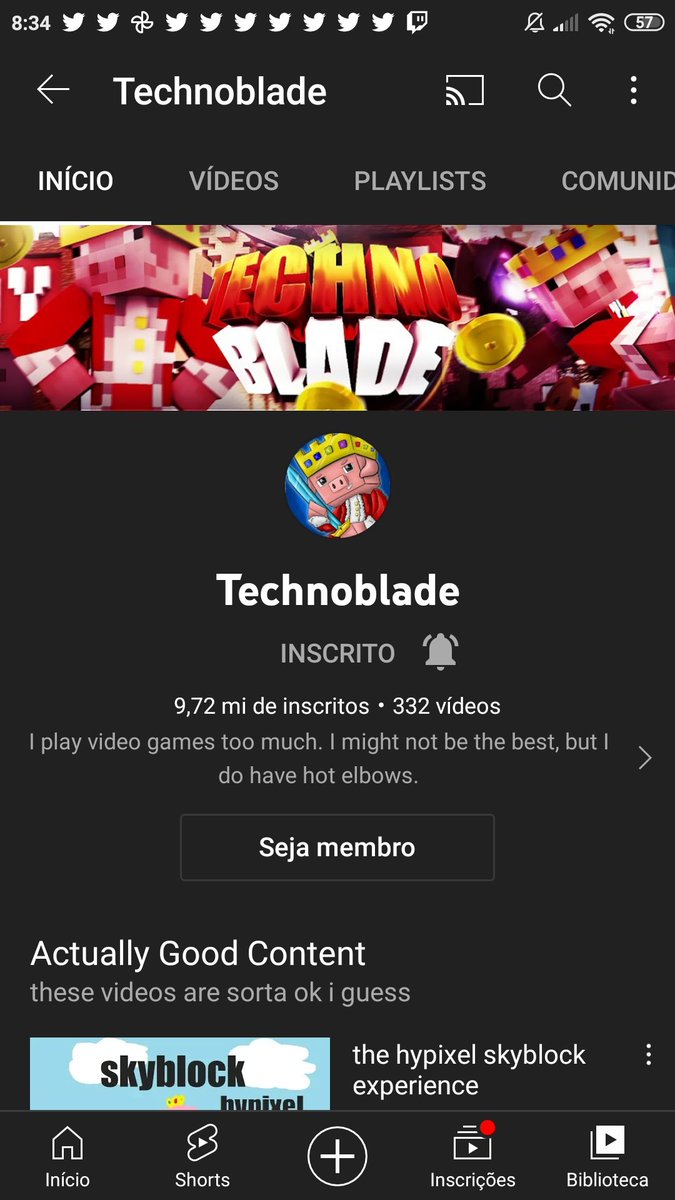 GueijoGueijo1's tweet image. #Subscribe2Technoblade