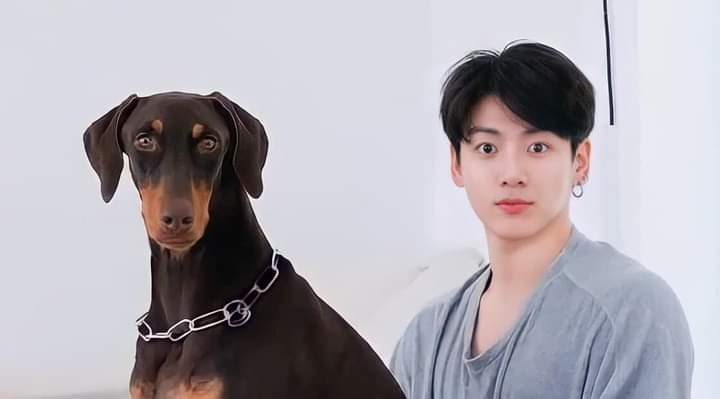 jungkook sweeting