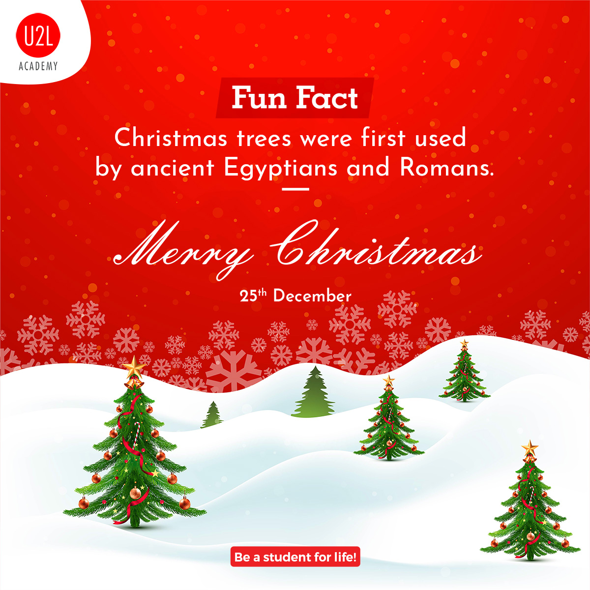 U2LAcademy's tweet photo. Did you know, Christmas trees were first used by ancient Egyptians and Romans.
#u2lacademy #unlearn2learn #Christmas #DidYouKnow https://t.co/RA83IWIfDs