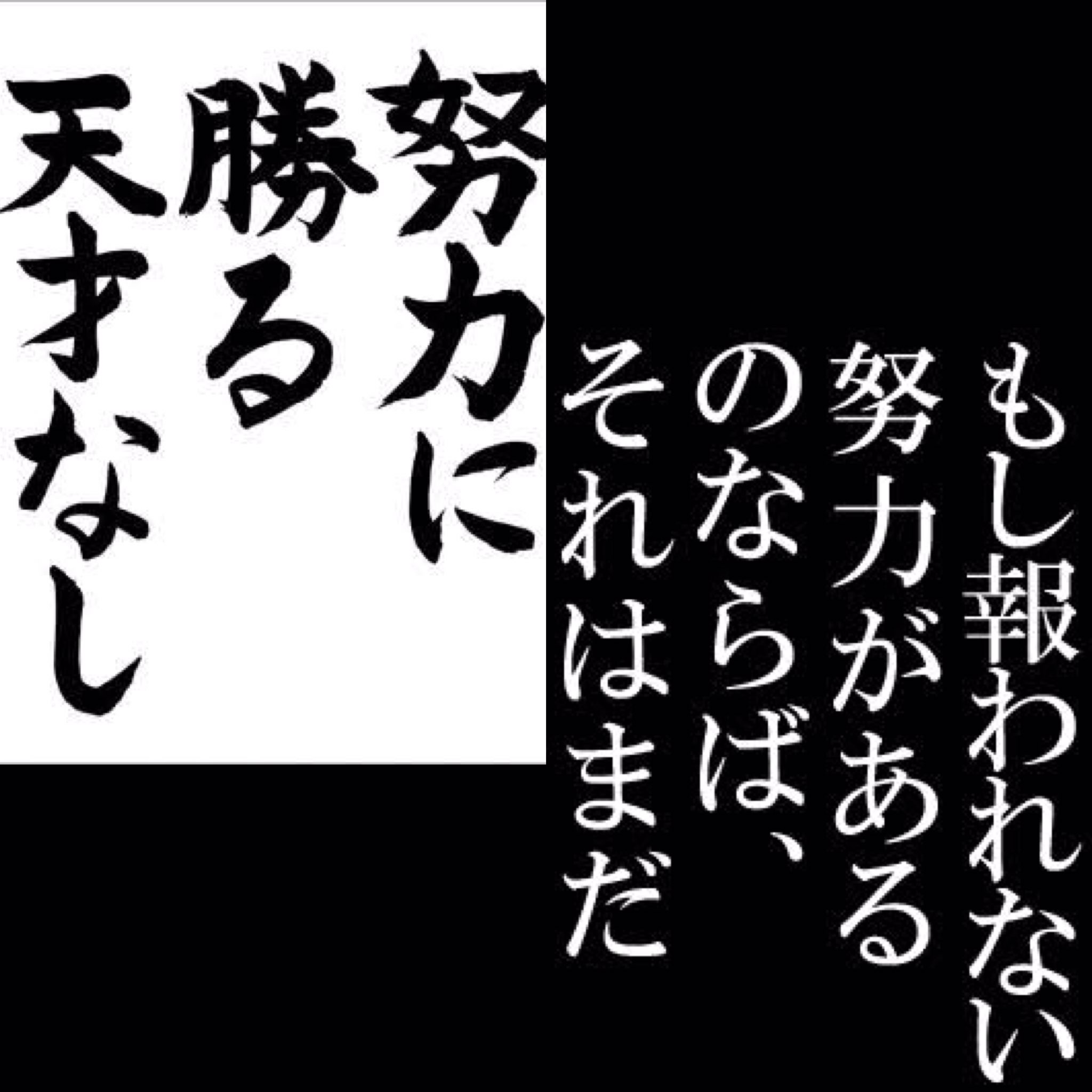 Zawap Zawapshiro Twitter