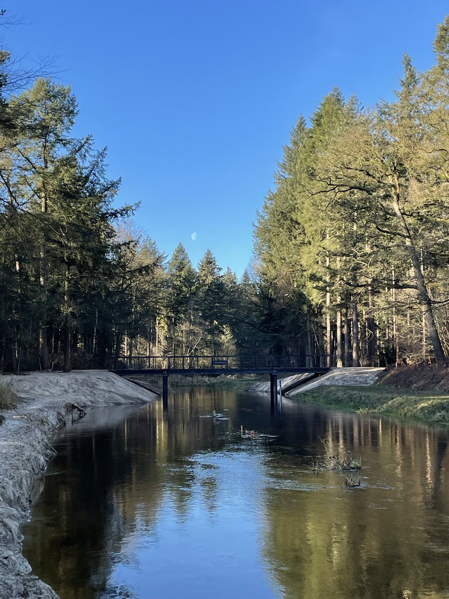 itsroelmeijer's tweet photo. Kerstochtend wandeling #lankheet #bekiektwente #assinkbrug https://t.co/SDu5zJva91